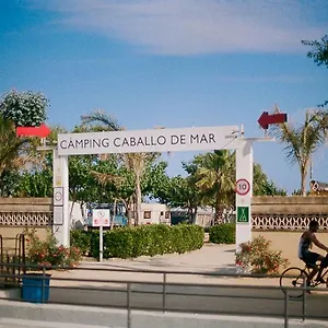 Senia Caballo De Mar Camping